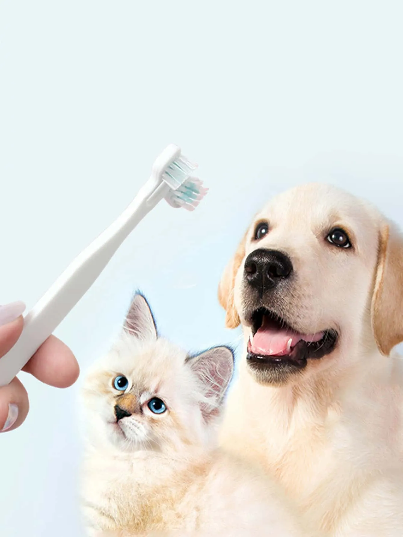 1pc Double ended Pet Toothbrush