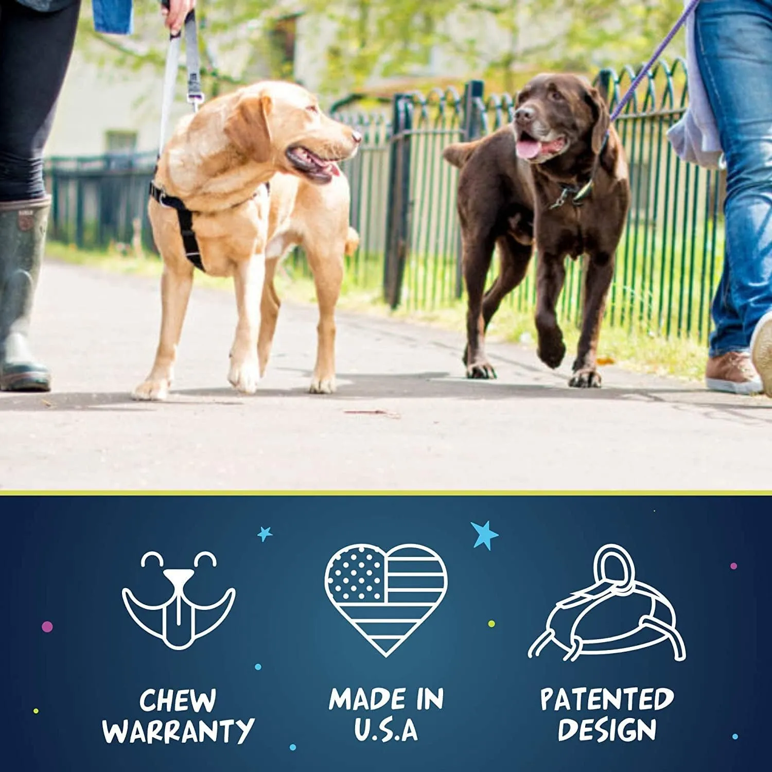 2 Hounds Design Freedom No Pull Dog Harness, Adjustable Harness and Leash Set, Easy Walking & Comfortable Control, Fits Small, Medium & Large Dogs, Solid Colors, Made in USA, 1" LG, Kelly Green
