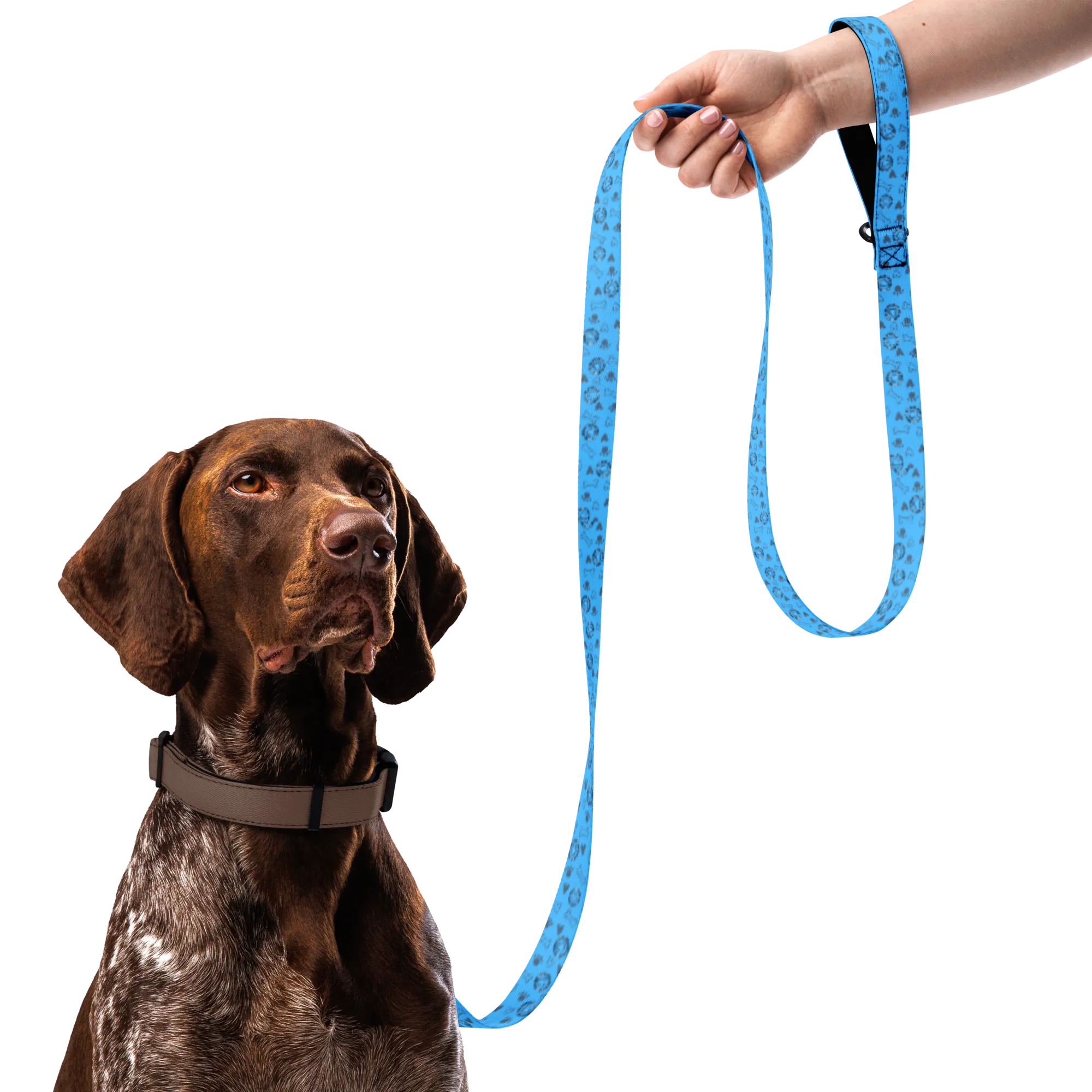 AA All Over Bone Logo Blue Pet Leash