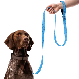 AA All Over Bone Logo Blue Pet Leash
