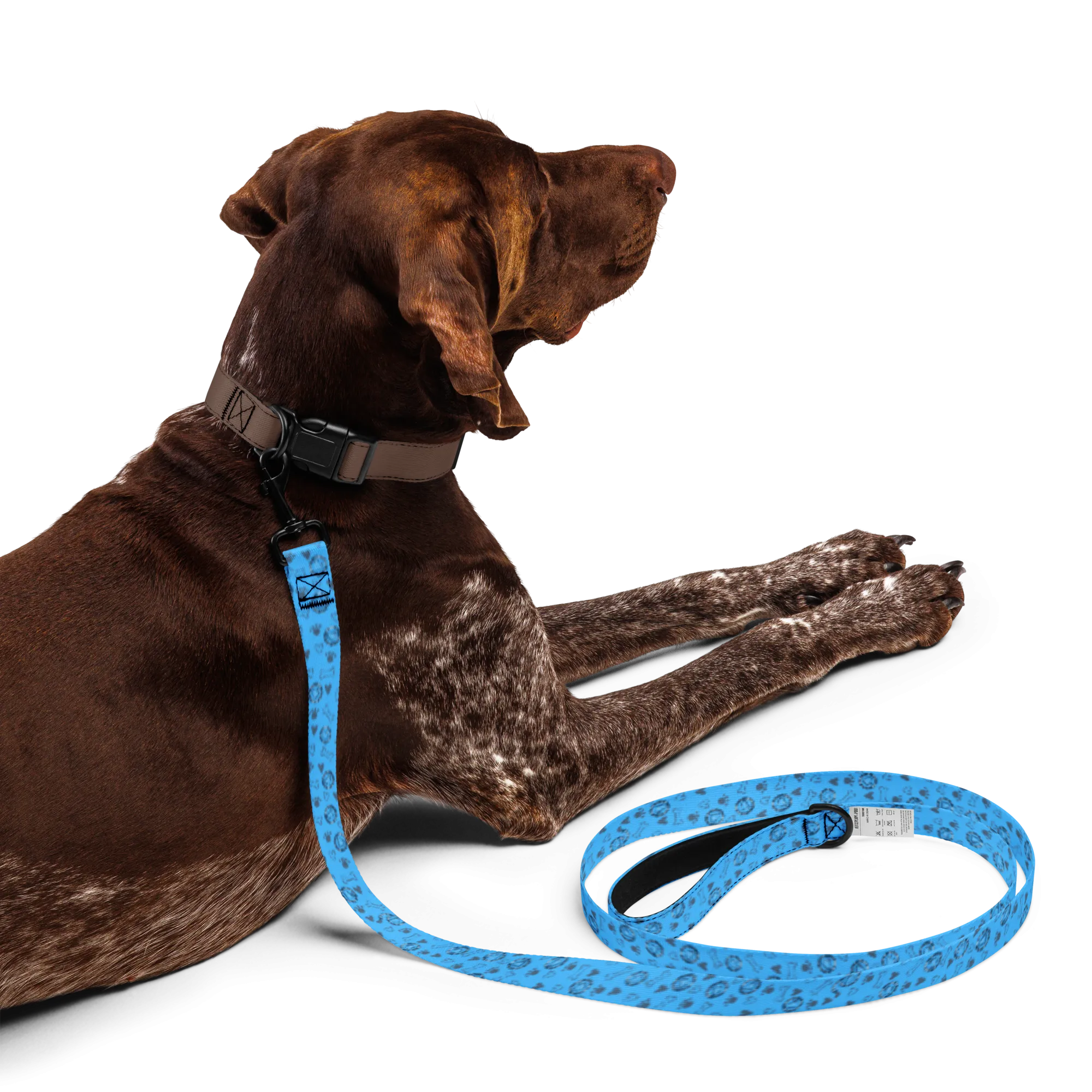 AA All Over Bone Logo Blue Pet Leash