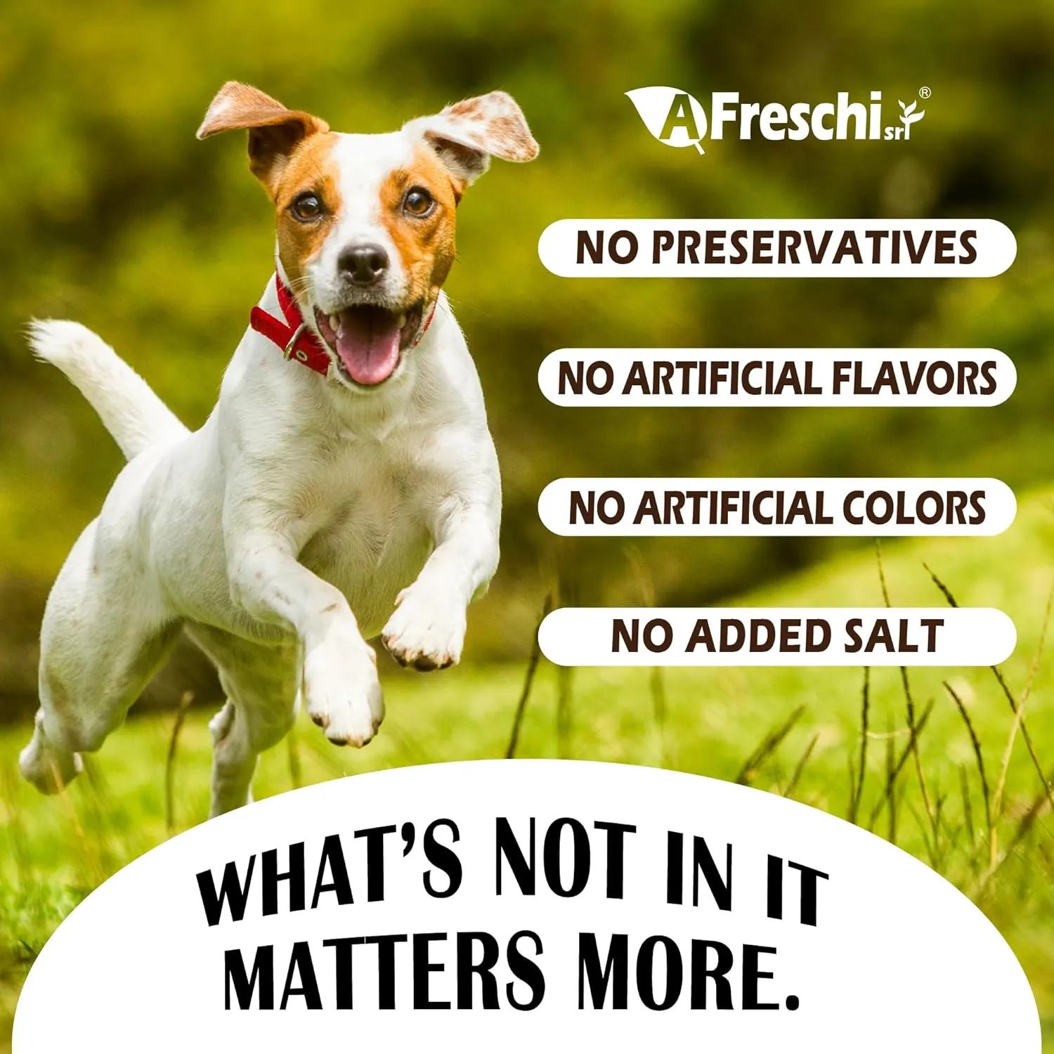 Afreschi Natural Turkey Treats Star Bites 6 oz, Hexagonal Shape, USA-Sourced, All-Natural, Hypoallergenic, Low-Fat, Healthy & Easily Digestible, Puppy & Training Snack & Small Dogs