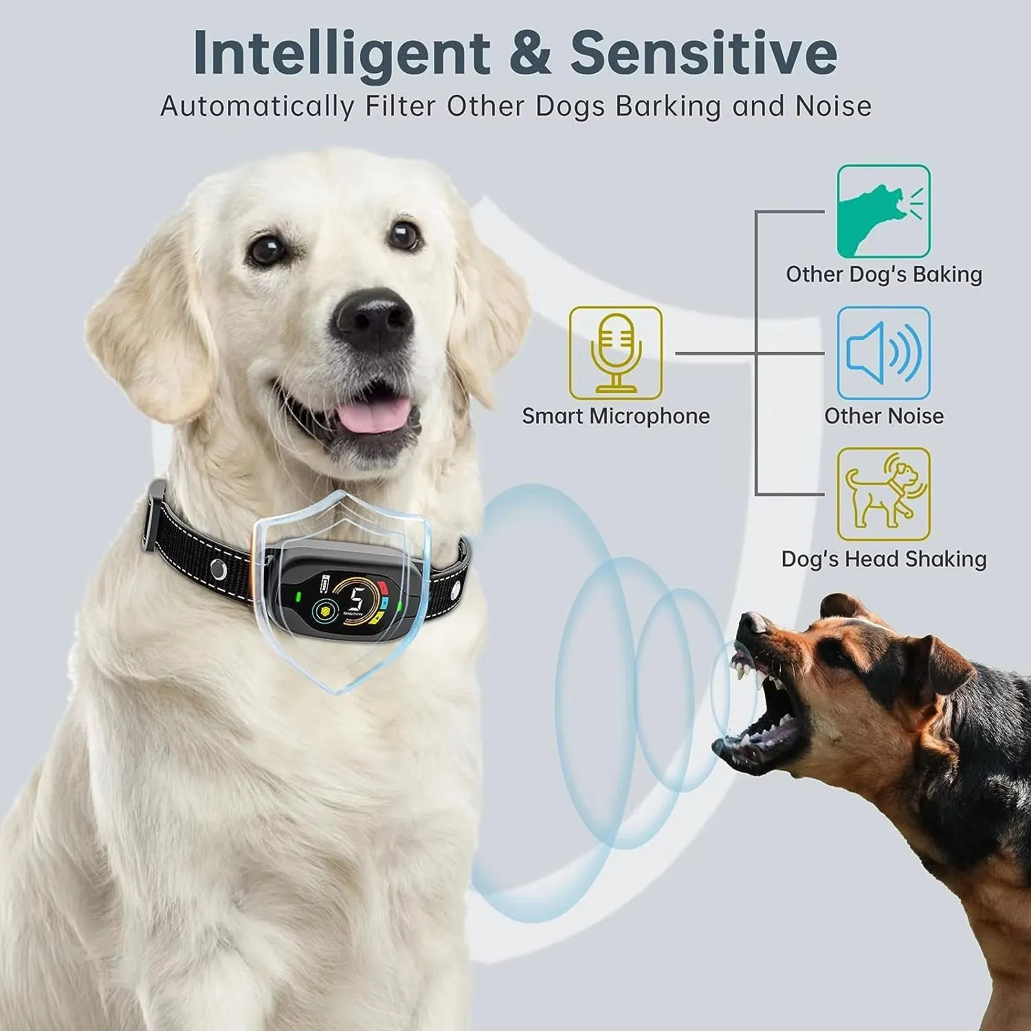 Anti-Bark Dog Collar with Smart Protection and Multi-Level Sensitivity
