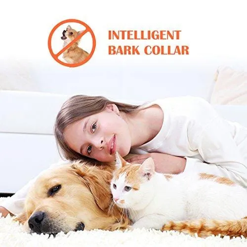 Bark Collar, 2019 Adjustable Vibration, Shock Sensitivity Level 1-7, Rechargeable Waterproof, Smart Barking Detection Small Large Dog, No Bark Collar