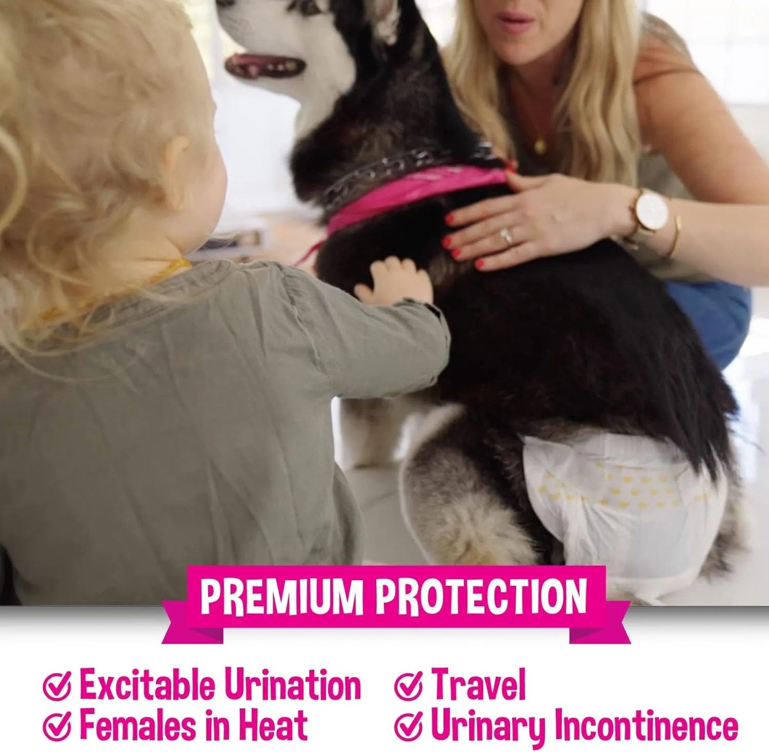 Bodhi Dog Disposable Female Dog Diapers - Super Absorbent Dog Diapers for Female Heat Cycle - Adjustable Fit Pee Wraps for Potty Training, Moisture Control & Wetness Indicator - Extra Large (20 Count)