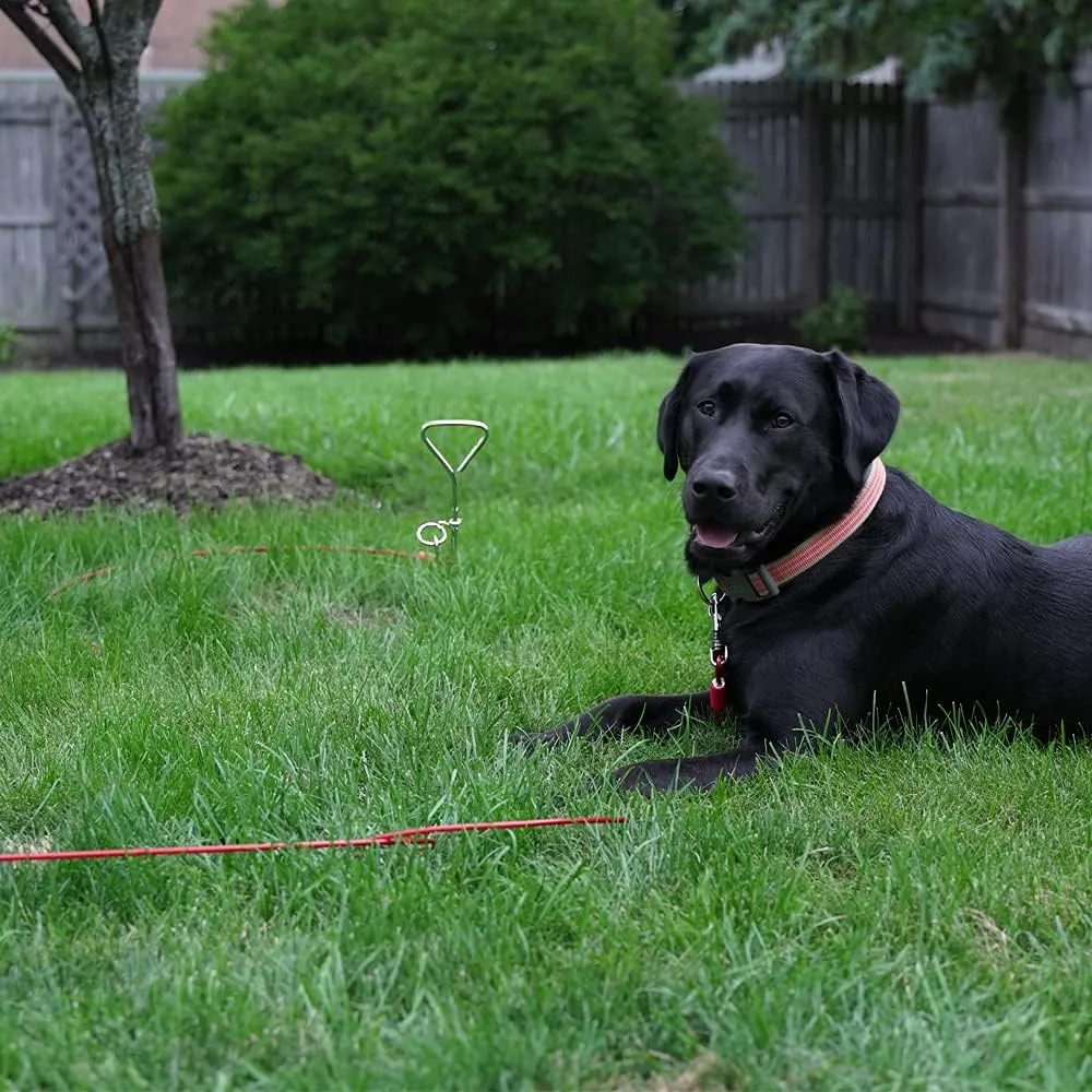 BV Dog Tie Out Cable 30 Feet - Heavy Duty Dog Lead Up to 125 Pounds - Reflective & Rust-Free with Quick Release Swivel Clips & 360 Rotating Clasp - Tangle-Free Dogs Runner for Yard (Red, Single)