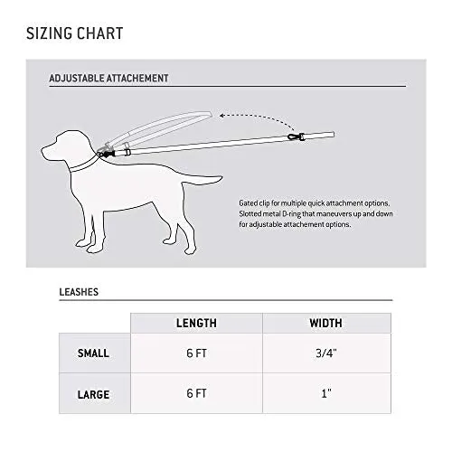 Carhartt P0000 Pet Durable Nylon Webbing Leashes for Dogs, Reflective Stitching for Visibility