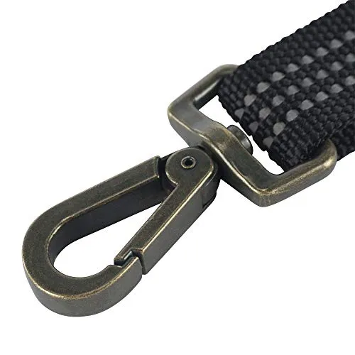 Carhartt P0000 Pet Durable Nylon Webbing Leashes for Dogs, Reflective Stitching for Visibility