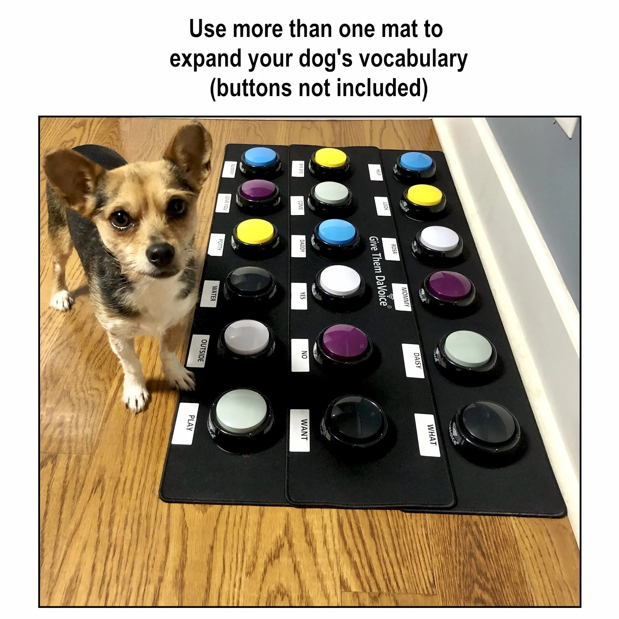DaVoice Dog Button Mat (6 Button) Dog Buttons for Communication Board