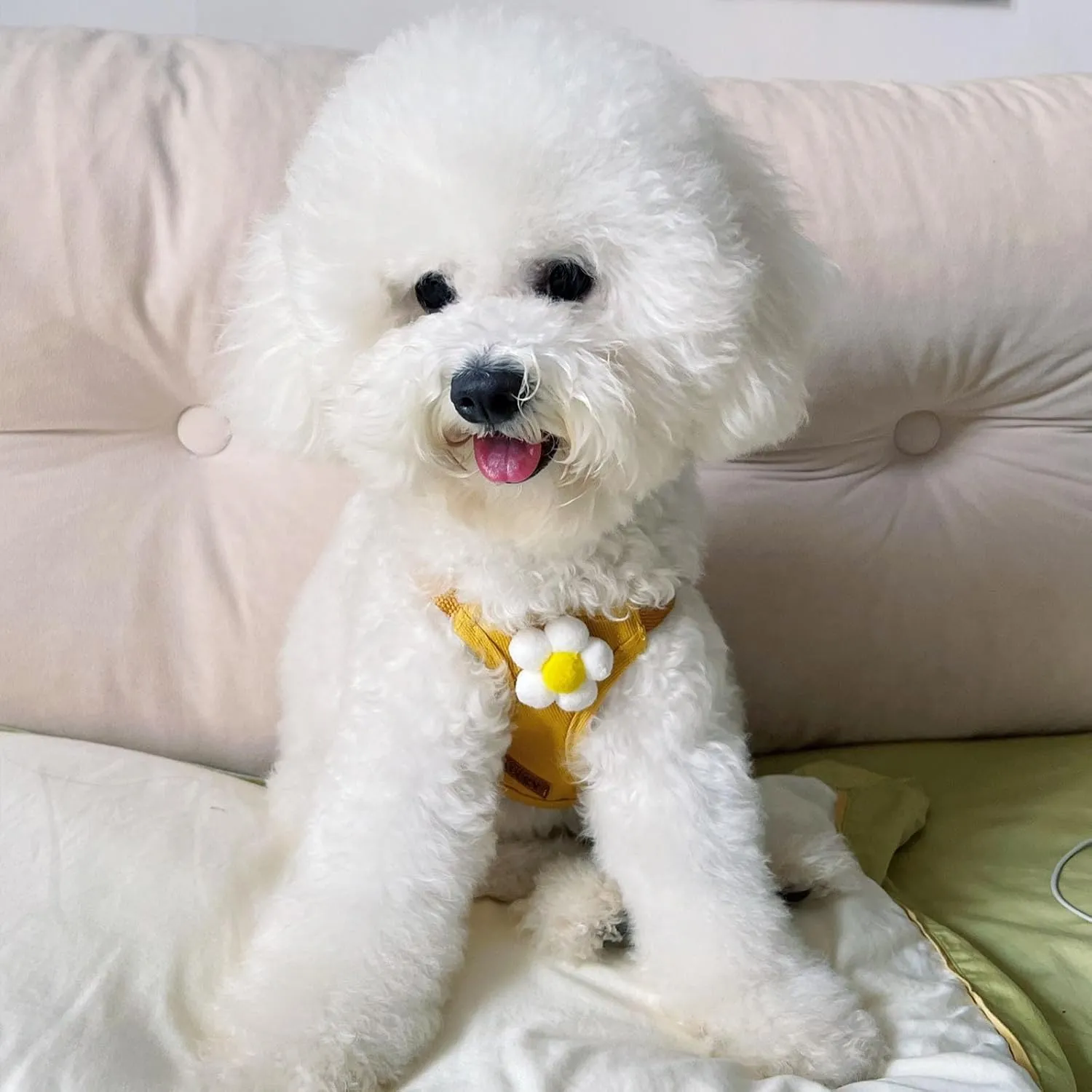 Dog Harness Backpack Cute Dog Vest Harness and Leash Set Plaid Soft Mesh Flower Pattern Dog Harness with Adjustable Travel Leash for Puppy Tiny Small Medium Dogs (Small, Yellow Flower)