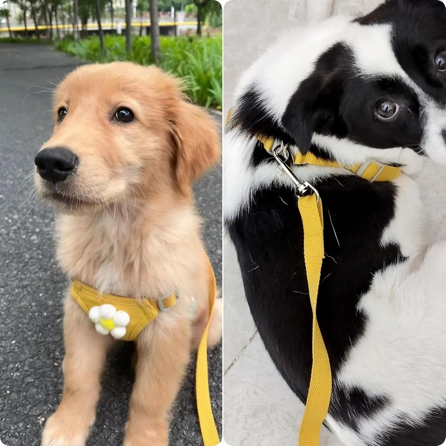 Dog Harness Backpack Cute Dog Vest Harness and Leash Set Plaid Soft Mesh Flower Pattern Dog Harness with Adjustable Travel Leash for Puppy Tiny Small Medium Dogs (Small, Yellow Flower)