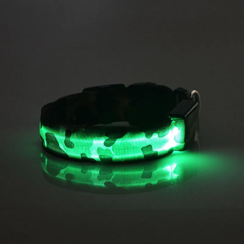Dog LED Light Up Strap Collar USB Rechargeable