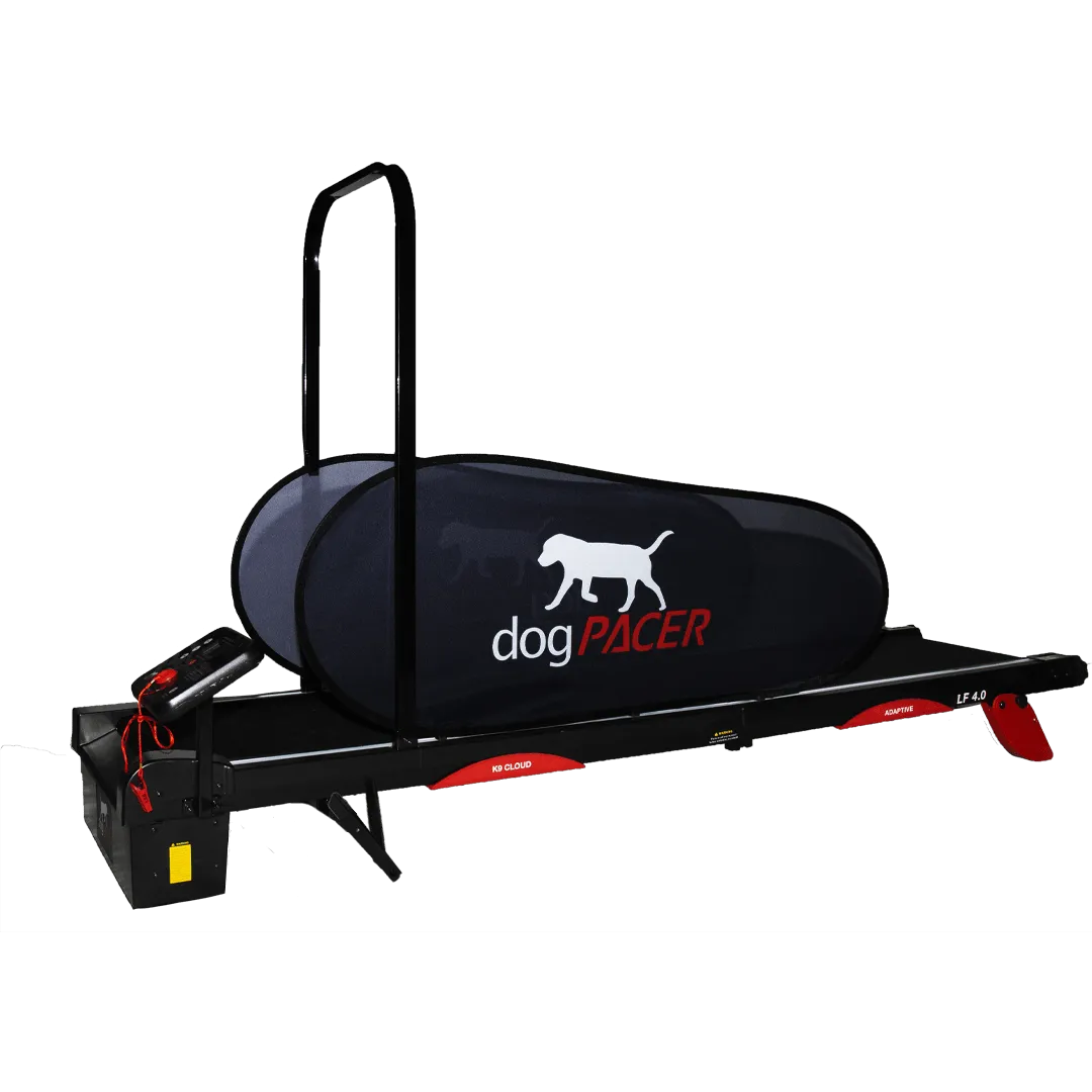 Dog Pacer 3.1 Treadmill