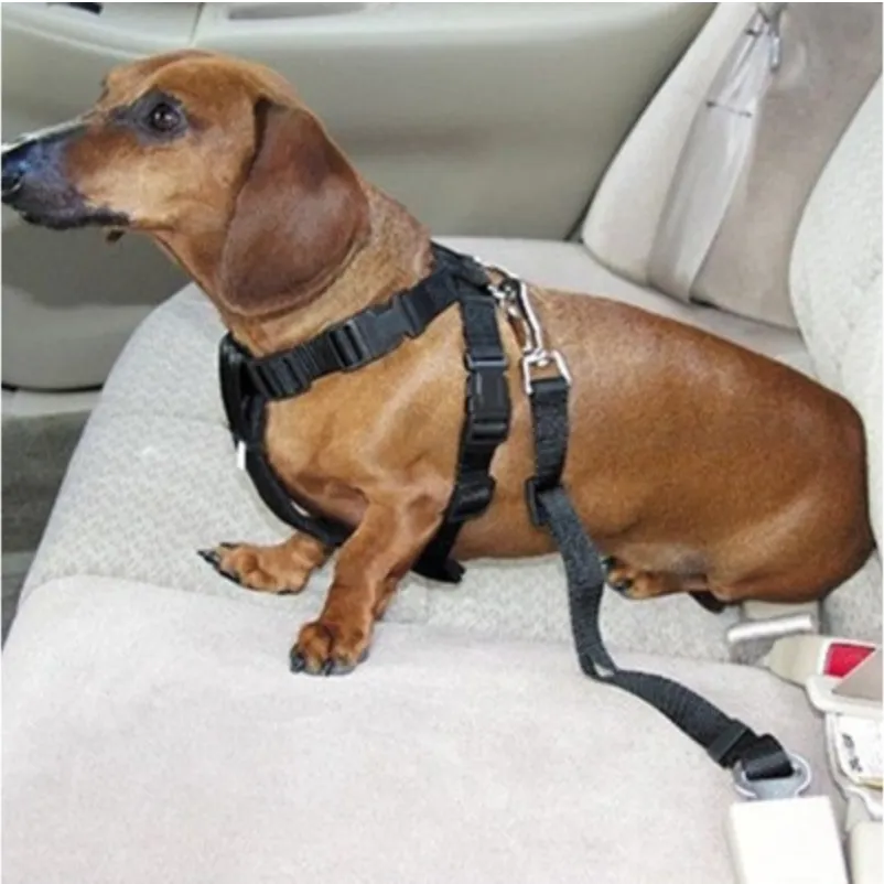 Dog Pet Car Safety Seat Belt Harness Restraint Lead Adjustable