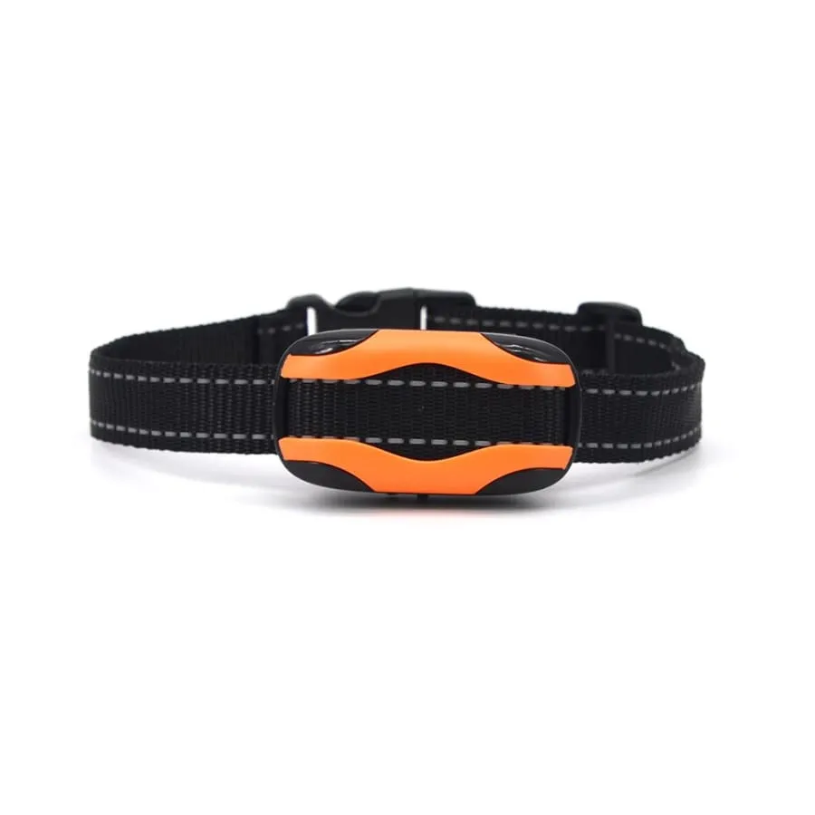 Dog Training Collar with remote Shock or No Shock color ORANGE