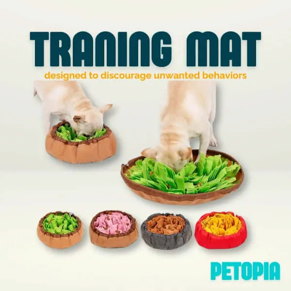 Dog Training Mat