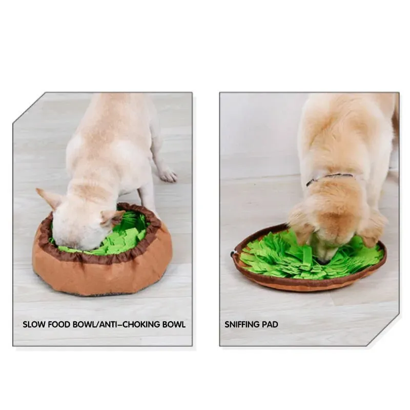 Dog Training Mat