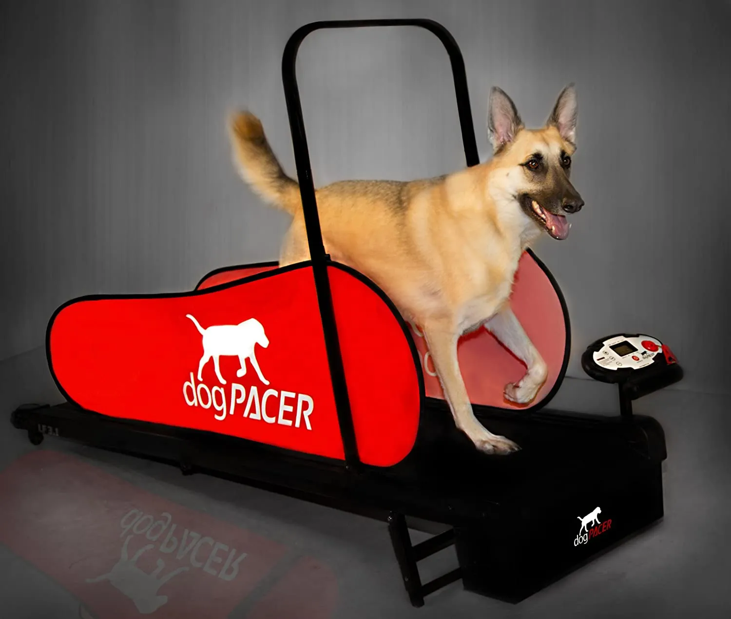 dogPACER Folding Dog Treadmill - LF 3.1