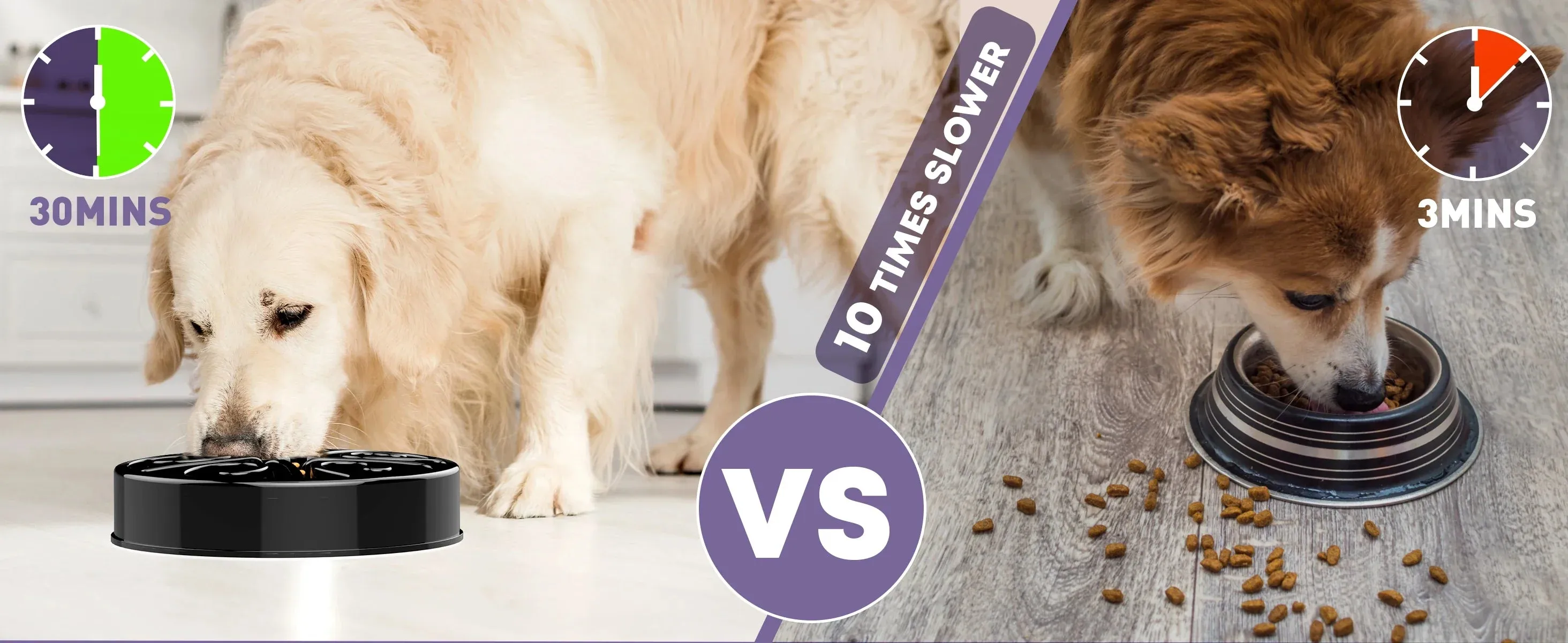 Eco-Friendly Slow Feeder Dog Bowl in Multiple Colors