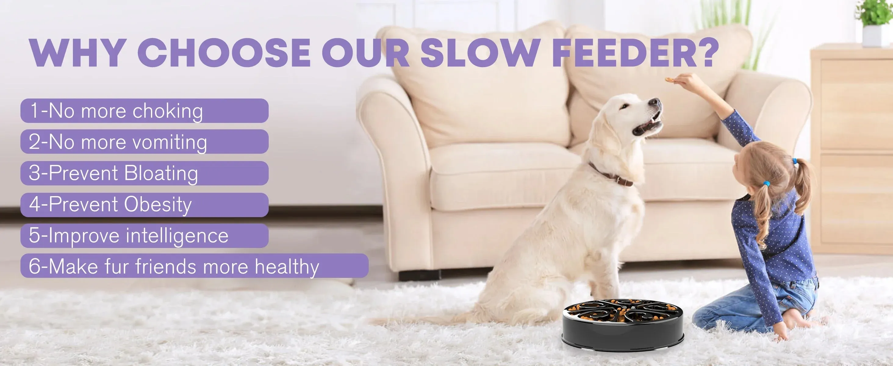 Eco-Friendly Slow Feeder Dog Bowl in Multiple Colors