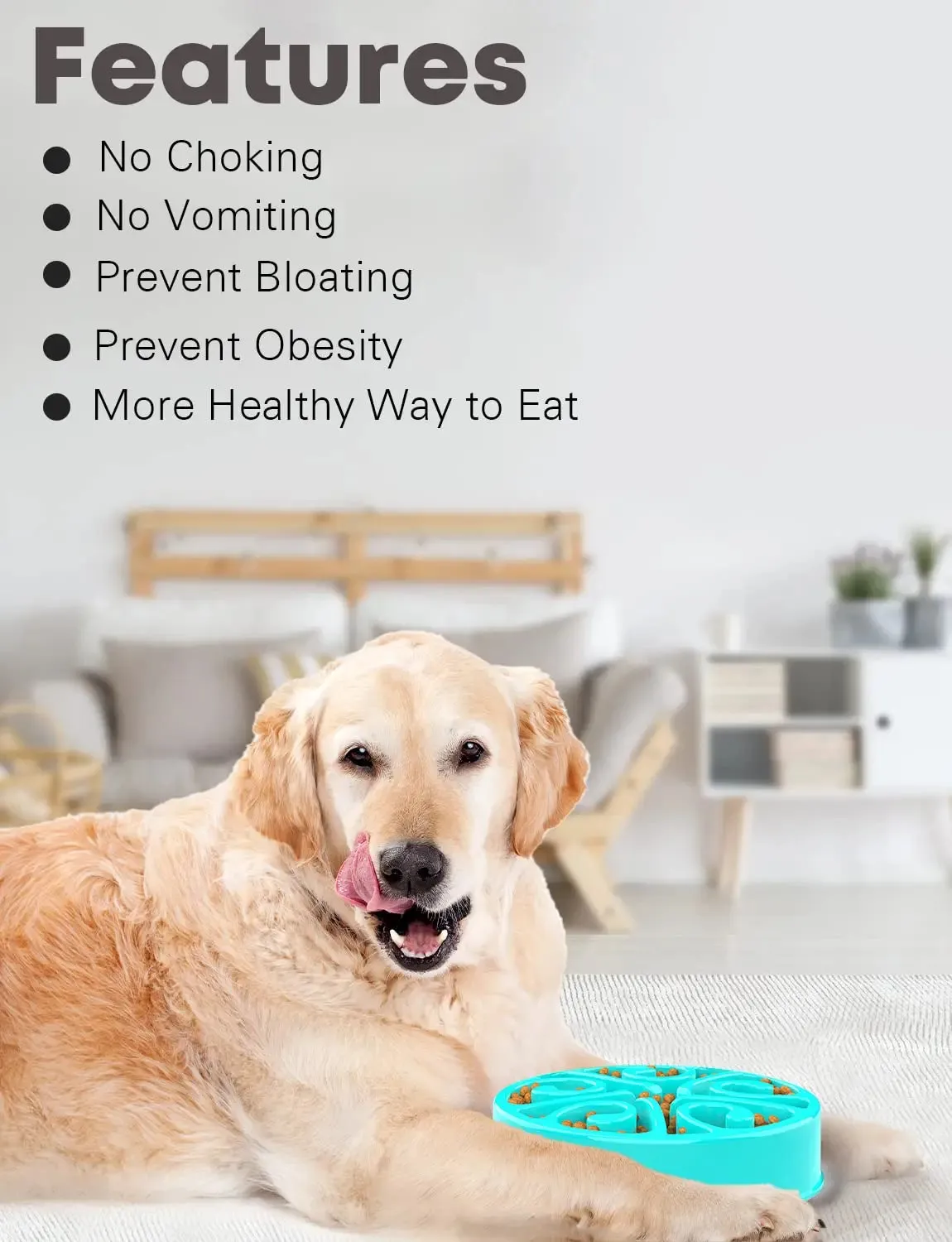 Eco-Friendly Slow Feeder Dog Bowl in Multiple Colors