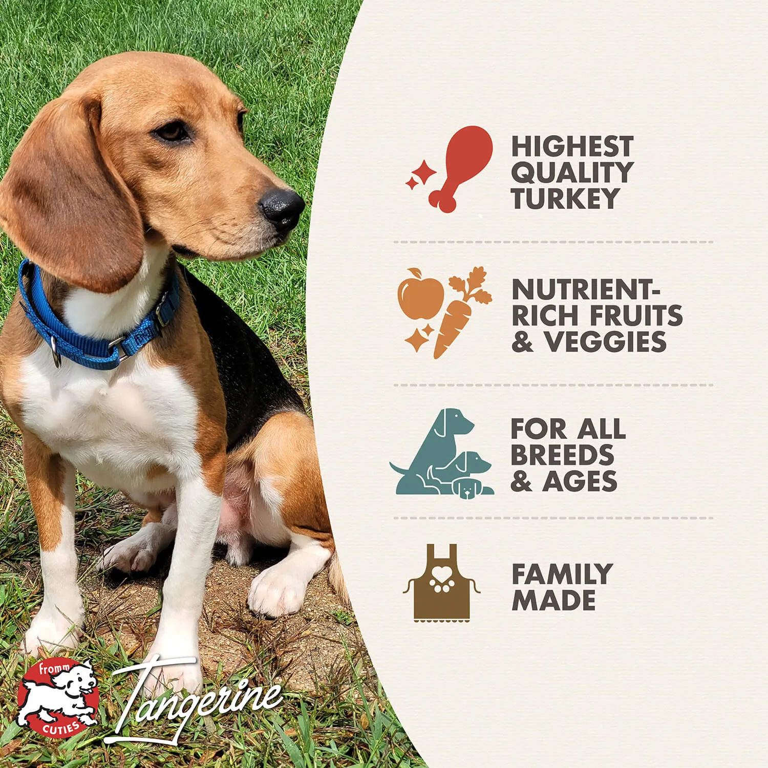 Four-Star Grain-Free Game Bird Recipe Dry Dog Food from Fromm