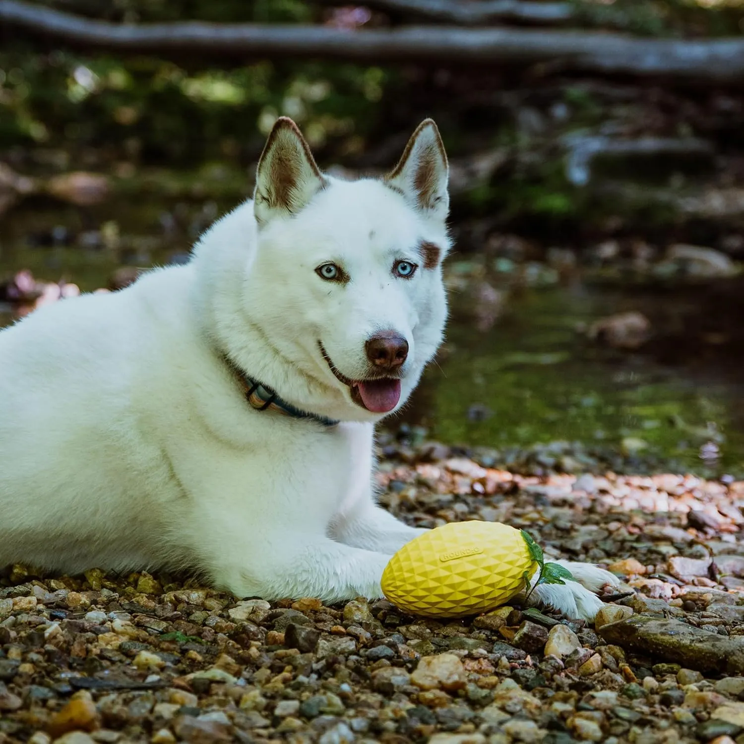 Hound2O Outdoor Dog Toys | Squeaky Football for Dogs, Bright Yellow | Durable Toy That Floats for Water Adventures | Interactive Ball for Dogs Made from Non-Toxic Materials