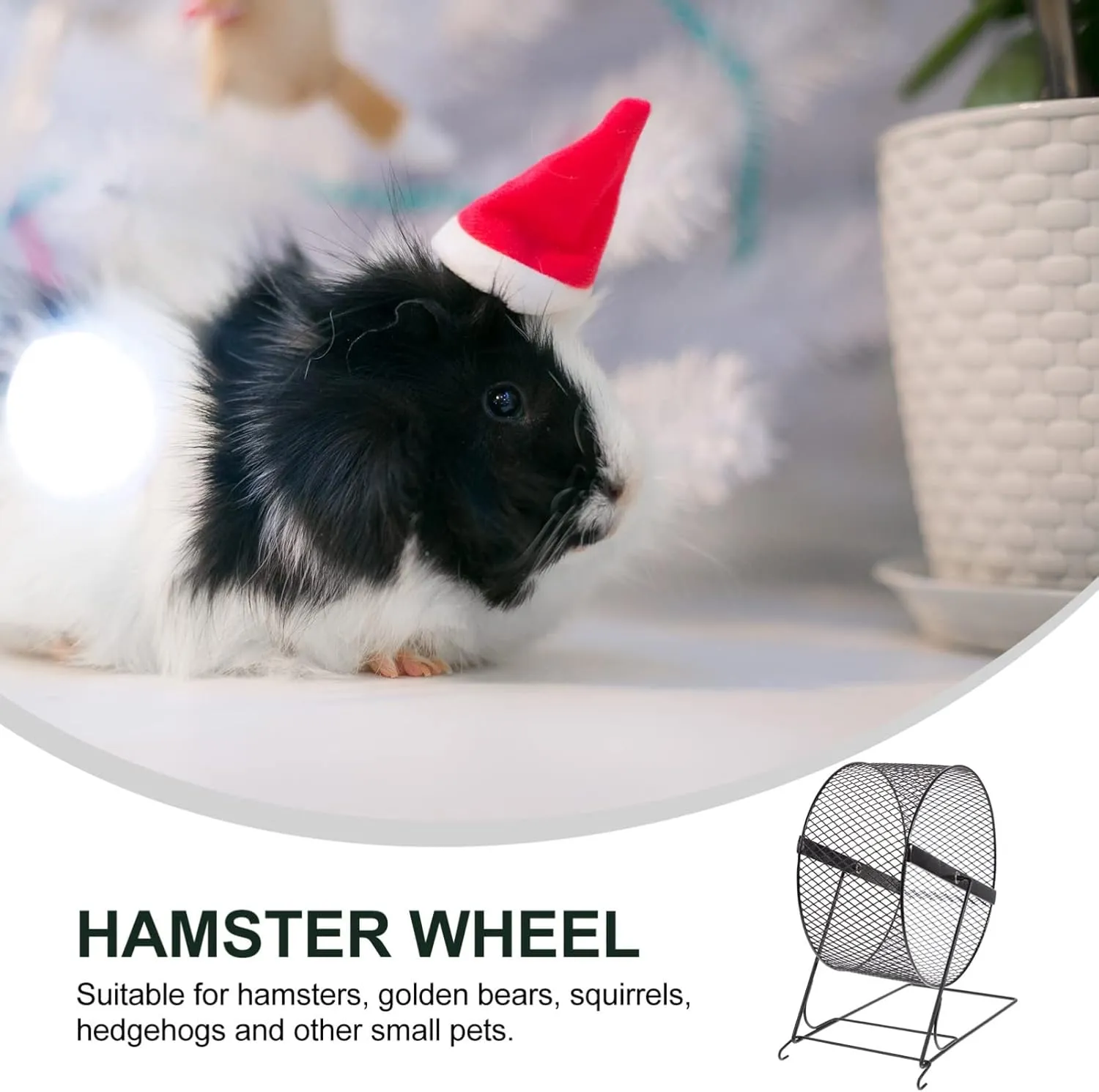 Interesting Hamster Running Wheel - 10 Inch Silent Exercise Wheel for Hamsters, Hedgehogs, and Small Pets with Rack - Fun Hamster Toy for Active Play