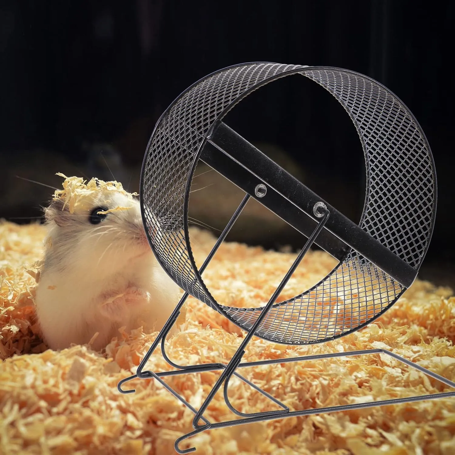 Interesting Hamster Running Wheel - 10 Inch Silent Exercise Wheel for Hamsters, Hedgehogs, and Small Pets with Rack - Fun Hamster Toy for Active Play