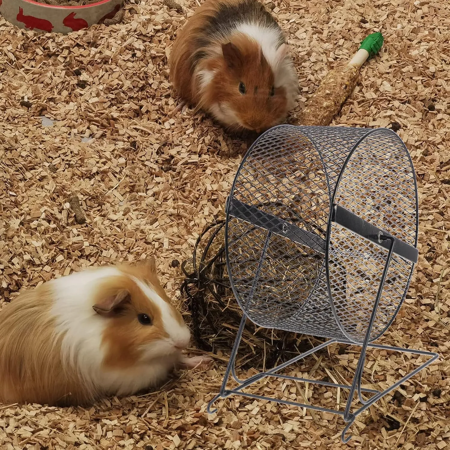 Interesting Hamster Running Wheel - 10 Inch Silent Exercise Wheel for Hamsters, Hedgehogs, and Small Pets with Rack - Fun Hamster Toy for Active Play