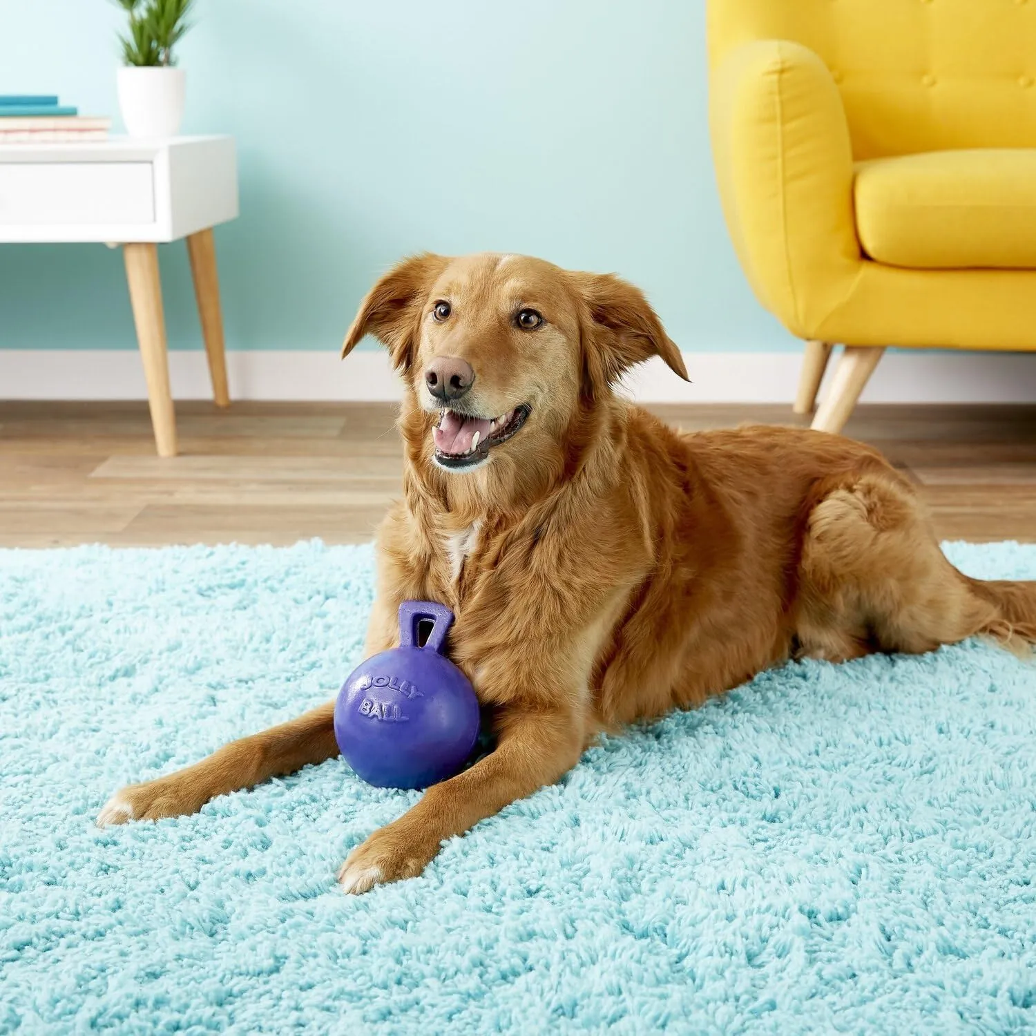 Jolly Pets Tug-n-Toss Heavy Duty Dog Toy Ball with Handle, 6 Inches/Medium, Purple