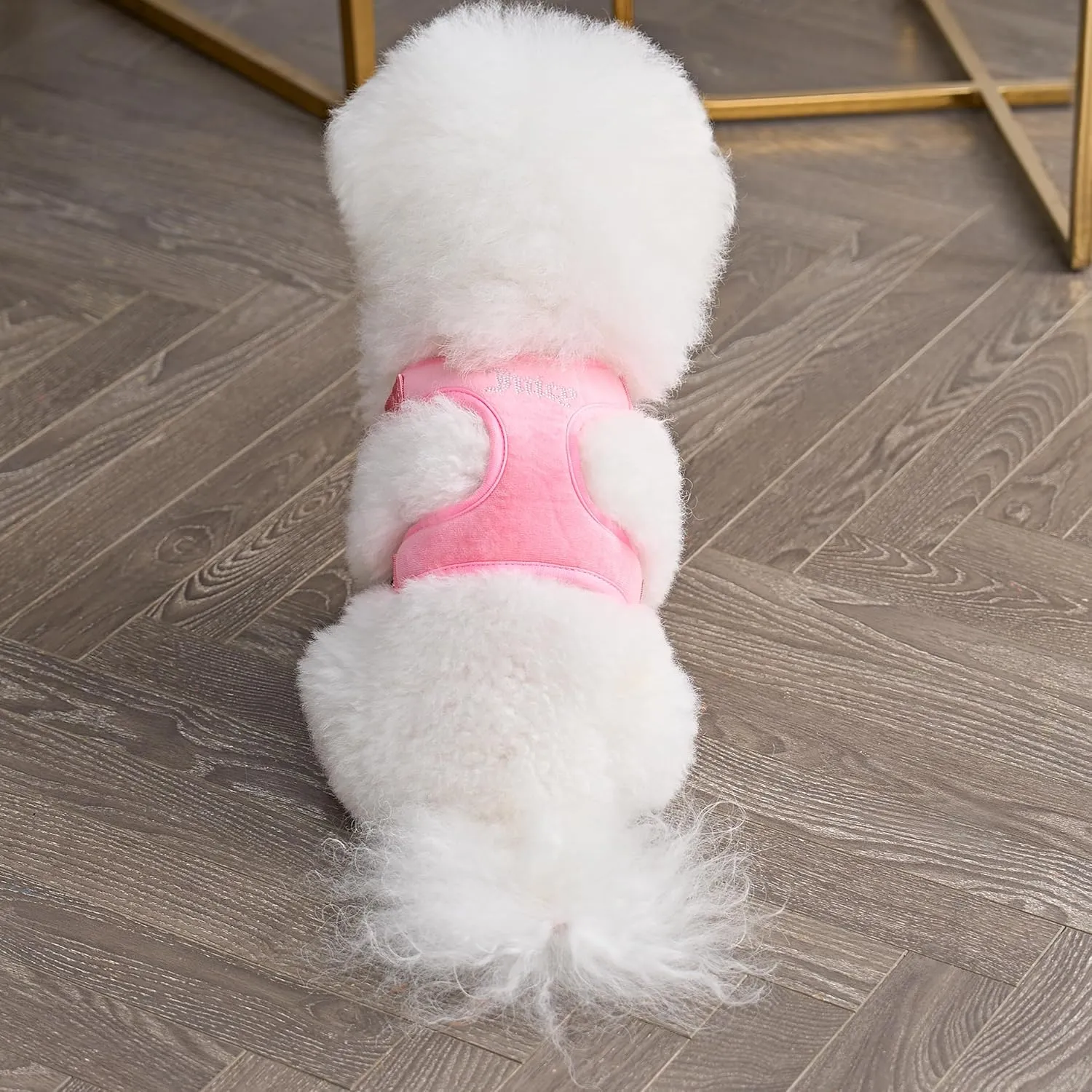 Juicy Couture Bling Velour Pet Harness and Leash Set - Pink - Extra Small - Pet Harness and Leash Combo for Dogs and Cats