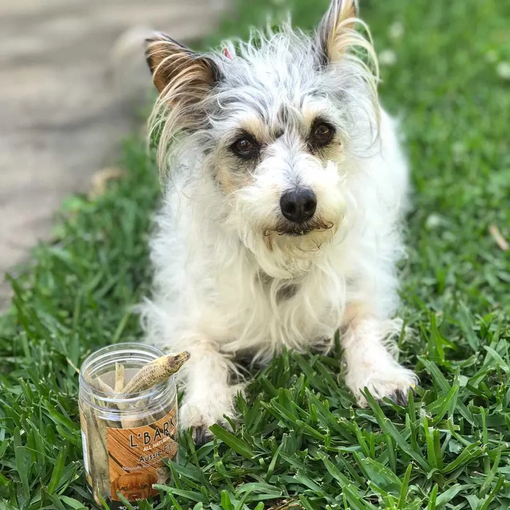 L'Barkery Aussie Fish Snacks