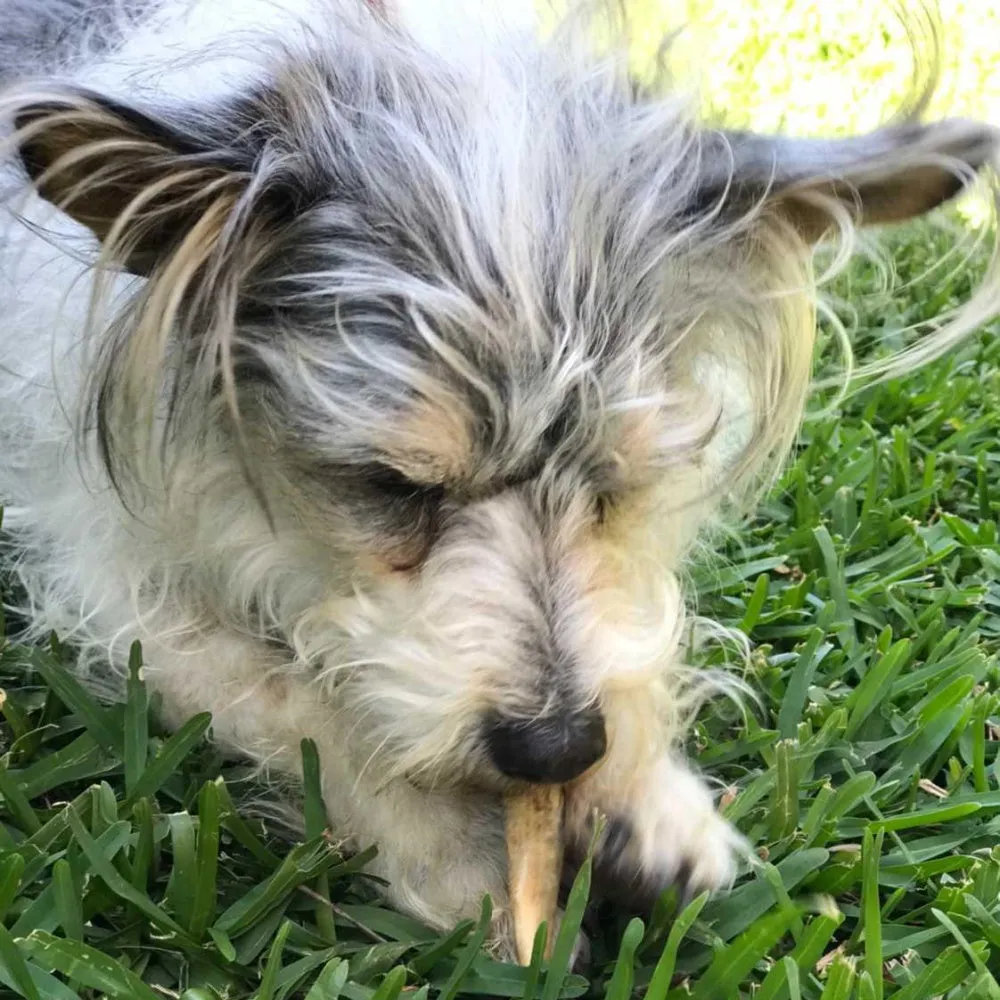 L'Barkery Aussie Fish Snacks
