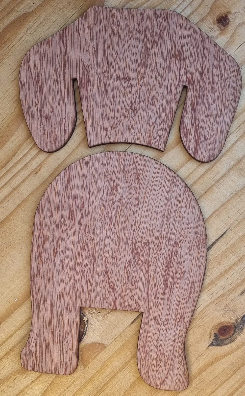 Leash Hangers