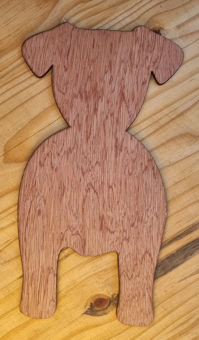 Leash Hangers