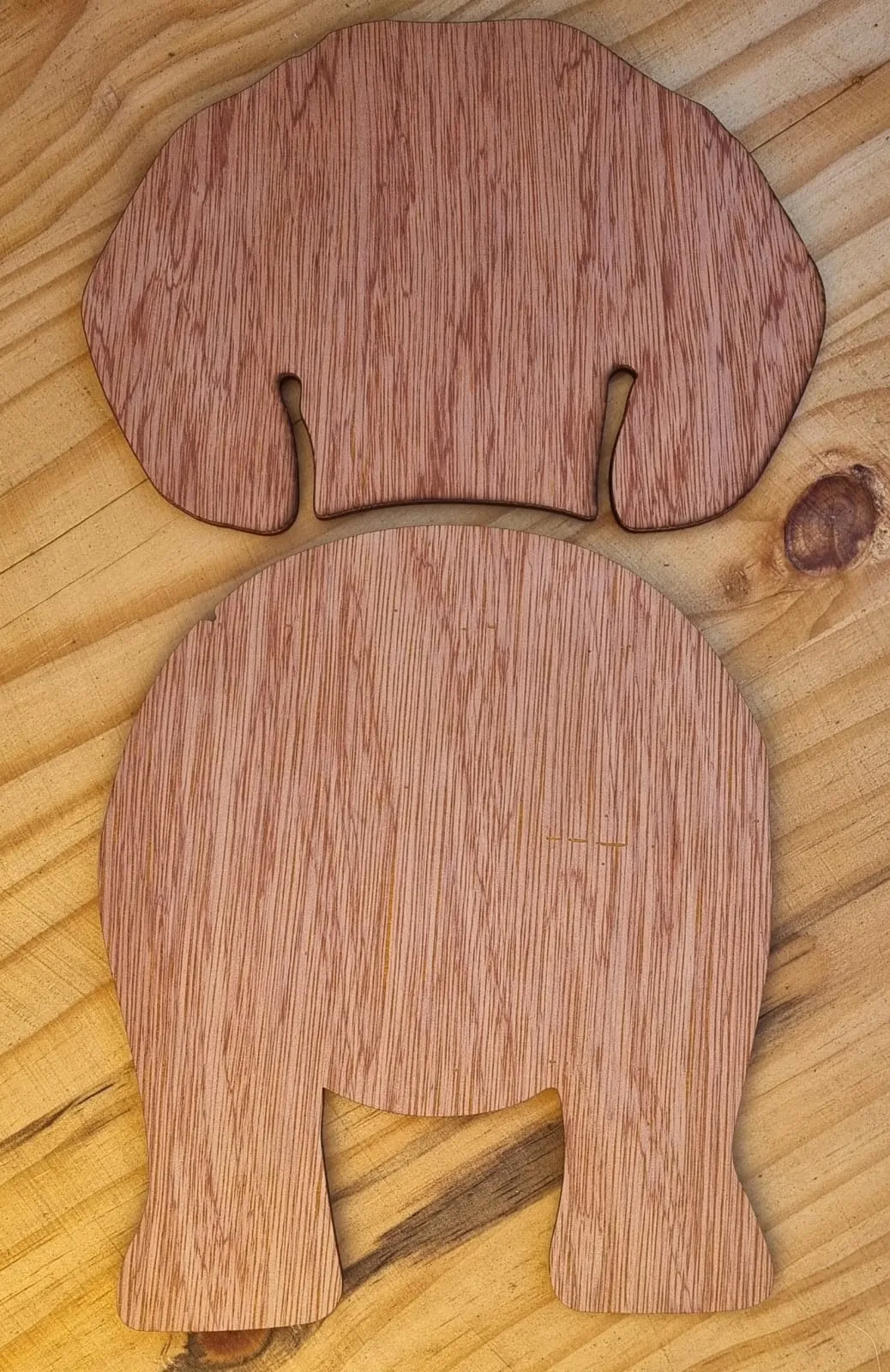 Leash Hangers
