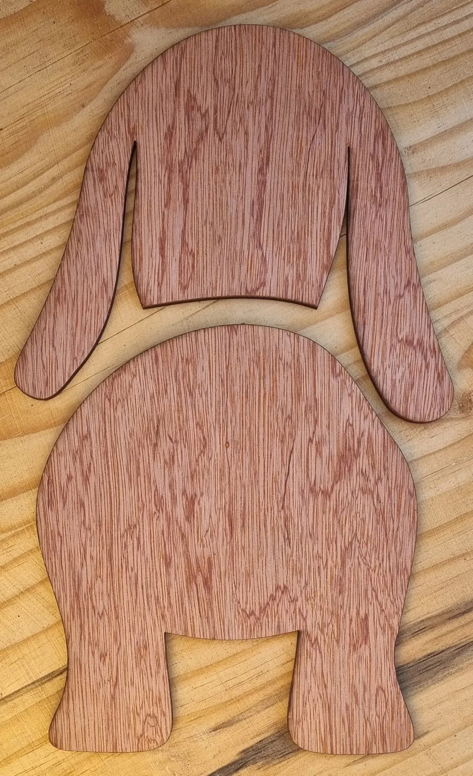 Leash Hangers