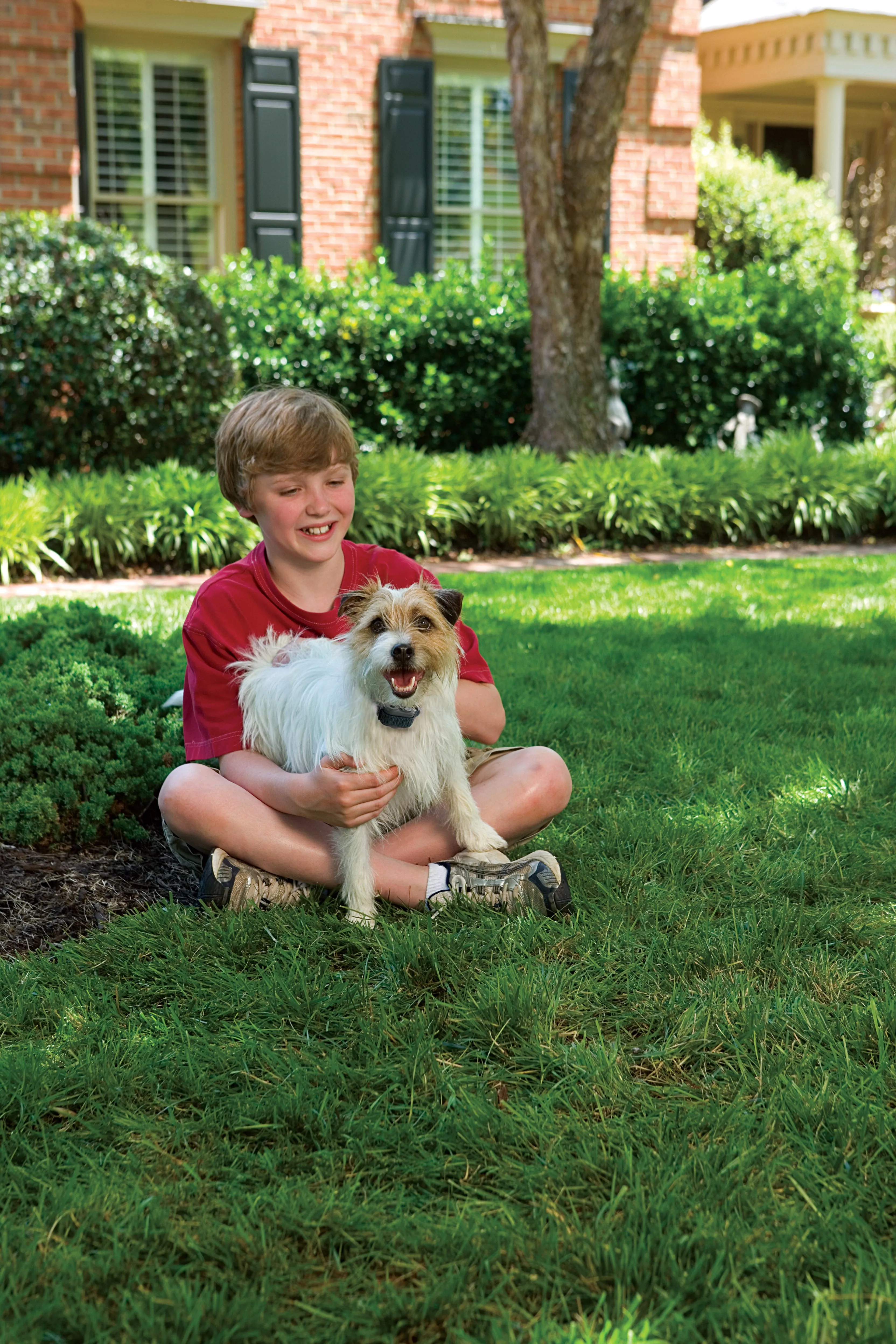Little Dog Deluxe Spray Bark Control Collar