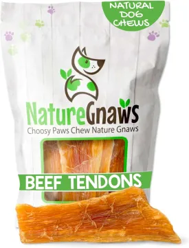 Nature Gnaws Beef Paddywack Tendons for Dogs 5-6" (5 Count) - Long Lasting for Aggressive Chewers - Natural Beef Dog Chew Bones - Rawhide Free