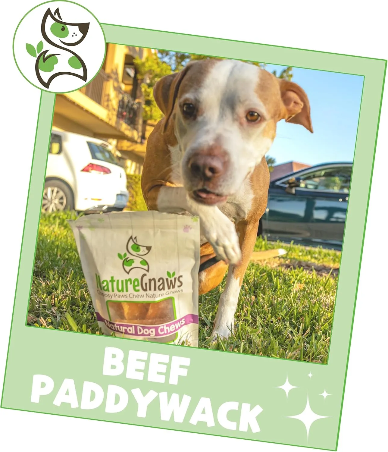 Nature Gnaws Beef Paddywack Tendons for Dogs 5-6" (5 Count) - Long Lasting for Aggressive Chewers - Natural Beef Dog Chew Bones - Rawhide Free