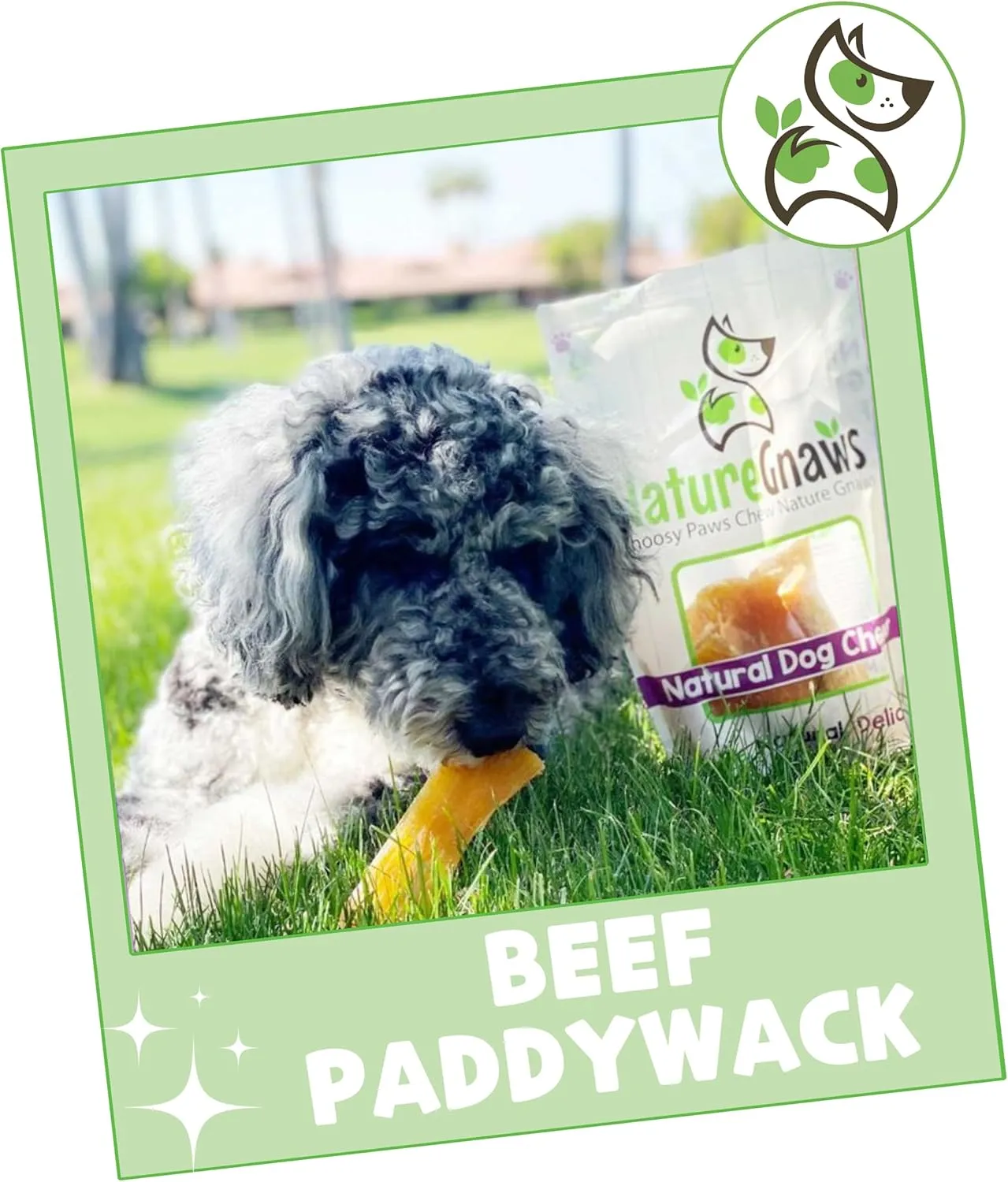Nature Gnaws Beef Paddywack Tendons for Dogs 5-6" (5 Count) - Long Lasting for Aggressive Chewers - Natural Beef Dog Chew Bones - Rawhide Free