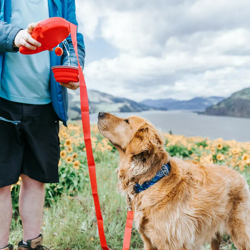 Pat and Pet Emporium | Pet Leashes | Pet Leash and Drink Bowl