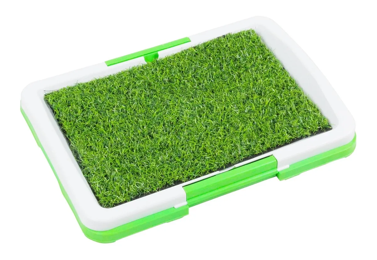 Pawise Green Trainer Tray Small