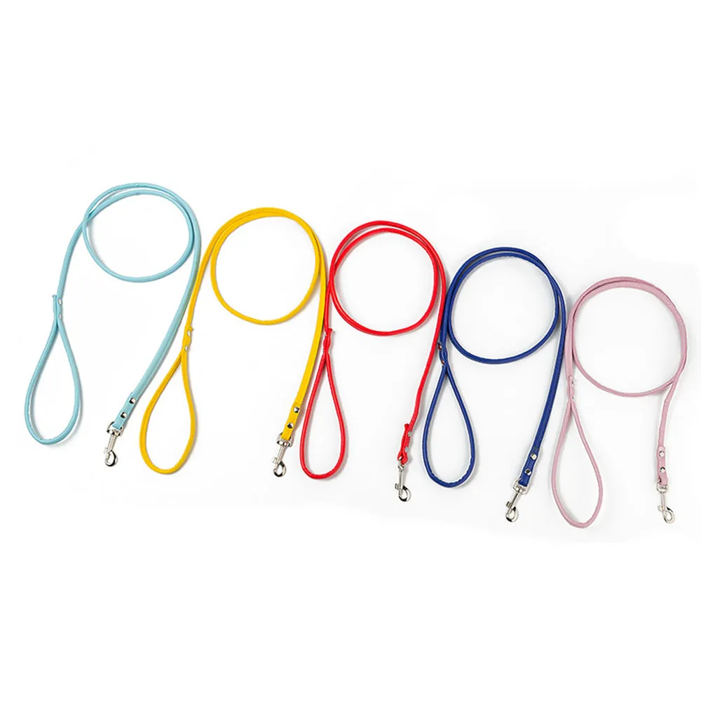 PAWS ASIA AliExpress Best Sell Trendy PU Material Cute Multicolor Tough Long Dog Leash