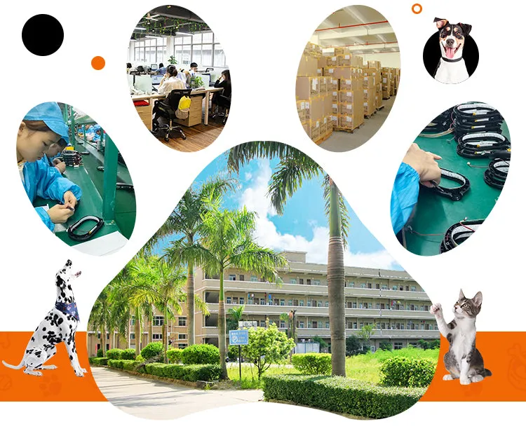 PAWS ASIA AliExpress Best Sell Trendy PU Material Cute Multicolor Tough Long Dog Leash