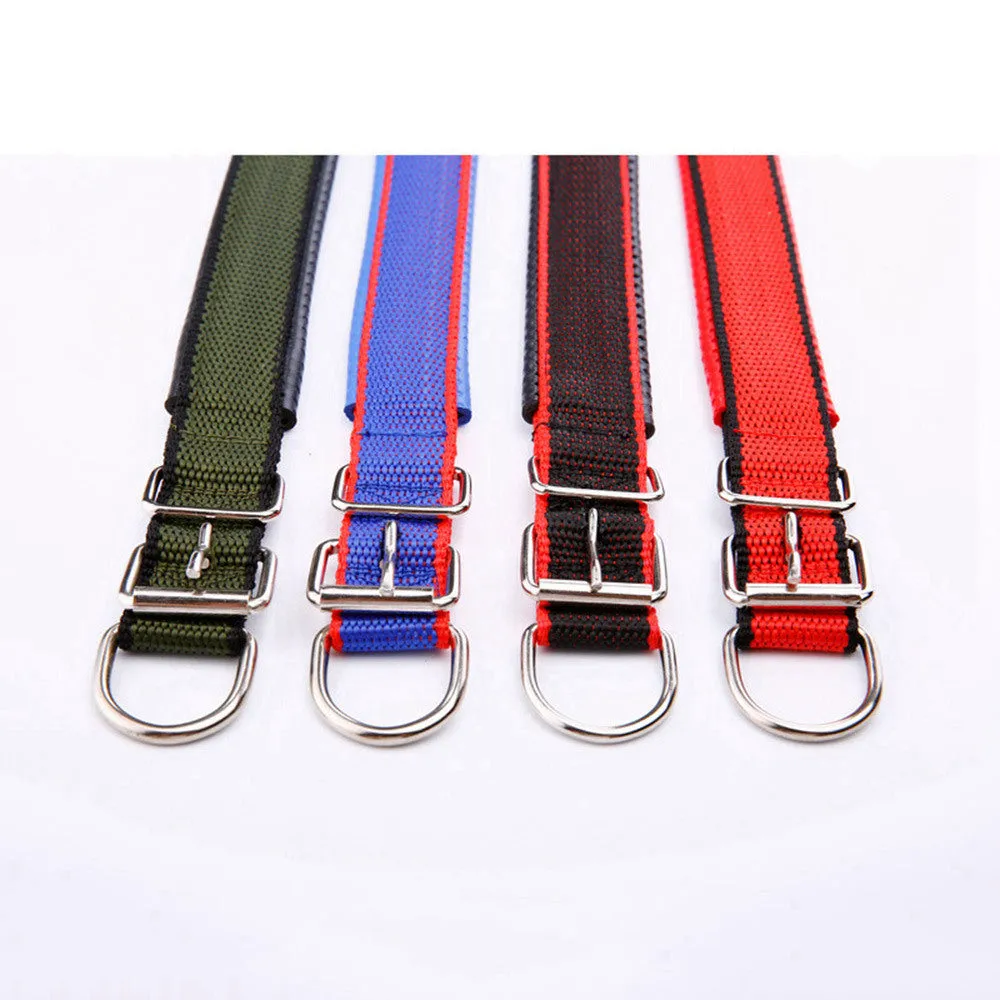 PAWS ASIA Ebay New Style Personalized Adjustable Fashion Luxury Training Stock Large Stripe Collar Dog In Stock