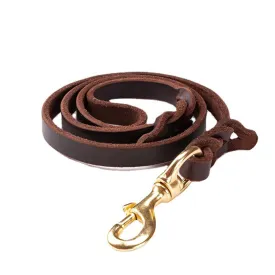PAWS ASIA Manufacturers Brown Luxury Pure Leather Heavy Duty Dog Leash For Large Dog