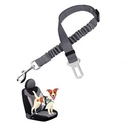 PAWS ASIA Manufacturers Quality Reflectively Nylon Stretchy Retractable Car Dog Leash Rope
