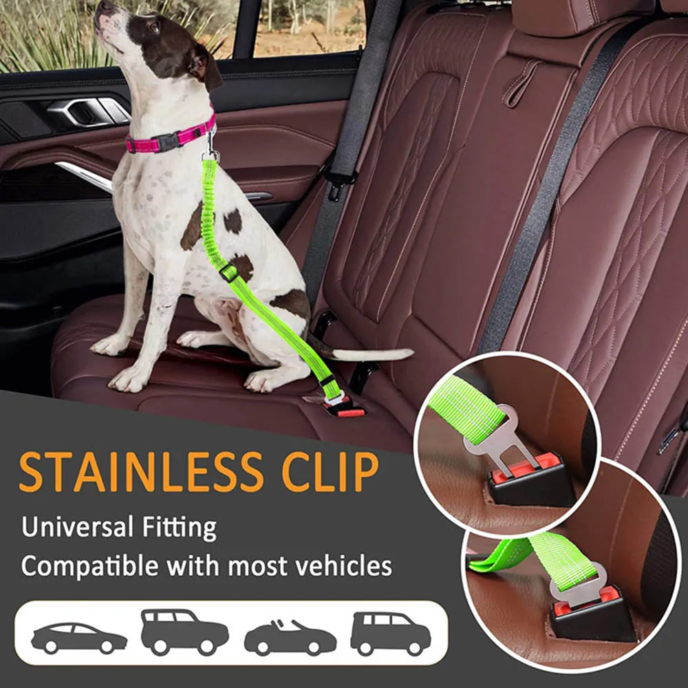 PAWS ASIA Manufacturers Quality Reflectively Nylon Stretchy Retractable Car Dog Leash Rope